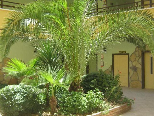 Oya Apartments Kuşadası Ngoại thất bức ảnh